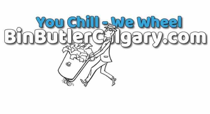 Confessions of a Bin-Dodger: Why I Finally Hired a Bin Butler